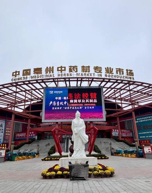 從央視曝光的馬錢(qián)子亂象看天麻、當(dāng)歸等中藥材的銷(xiāo)售困局與破局之道